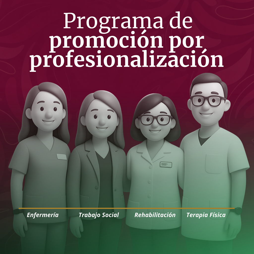 Profesionalización